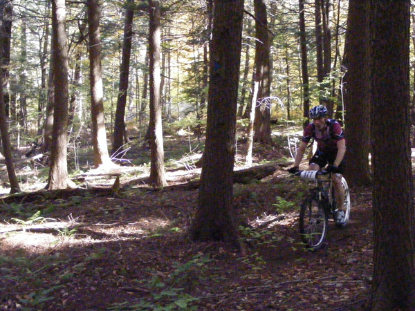 2008_1013walnut20139