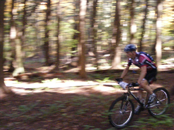 2008_1013walnut20140