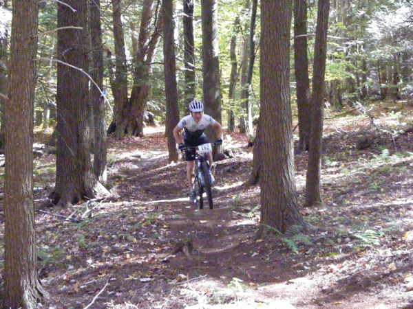 2008_1013walnut20145