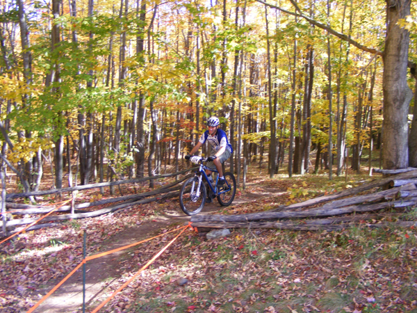 2008_1013walnut20175