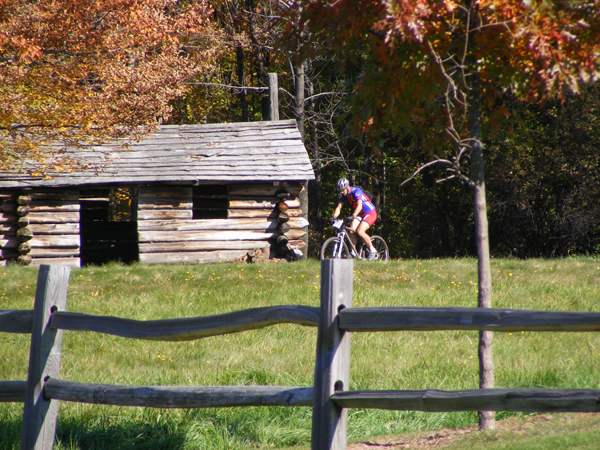 2008_1013walnut20203