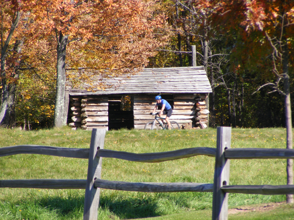 2008_1013walnut20209