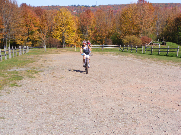 2008_1013walnut20212