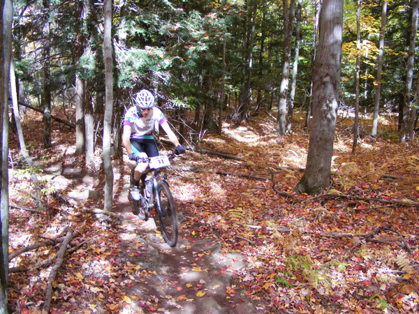 2008_1013walnut20221