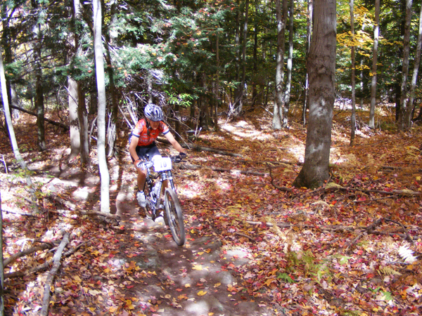 2008_1013walnut20225