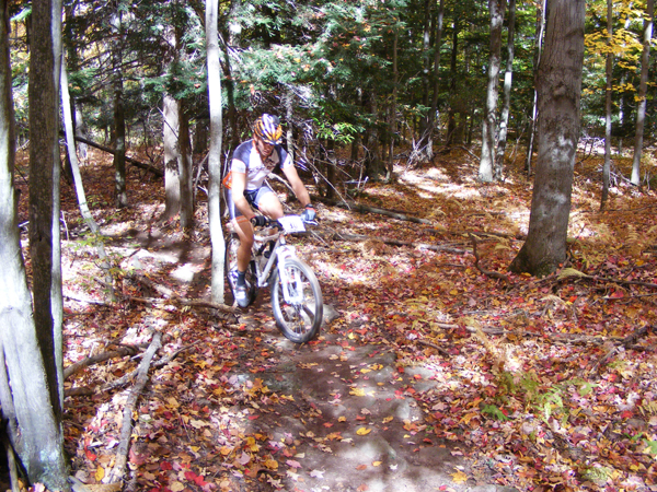 2008_1013walnut20227
