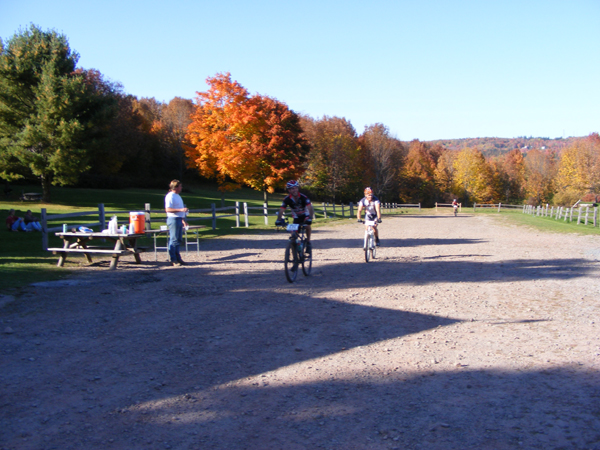 2008_1013walnut20231